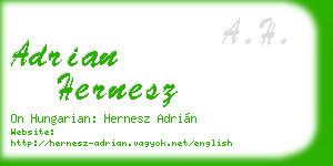 adrian hernesz business card